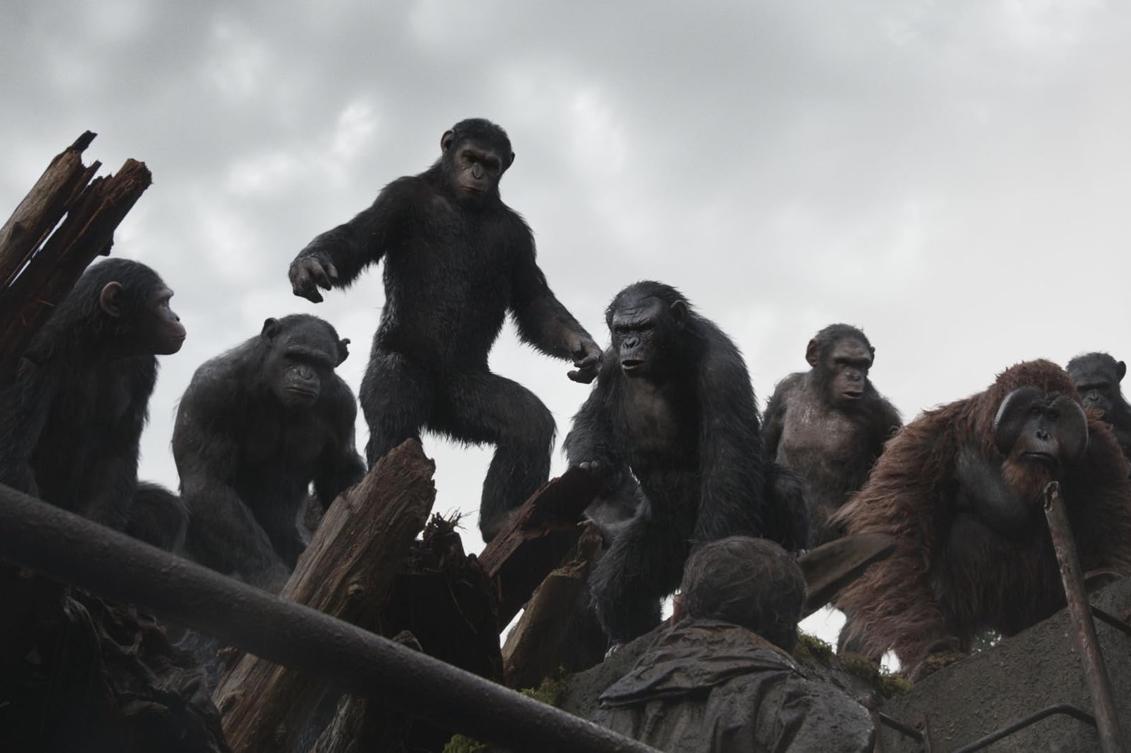 Hanh tinh khi,  Hollywood,  Planet of the Apes anh 3