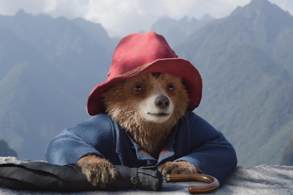 Chu gau Paddington ra sao giua cuoc dau Tran Thanh - Thu Trang? hinh anh