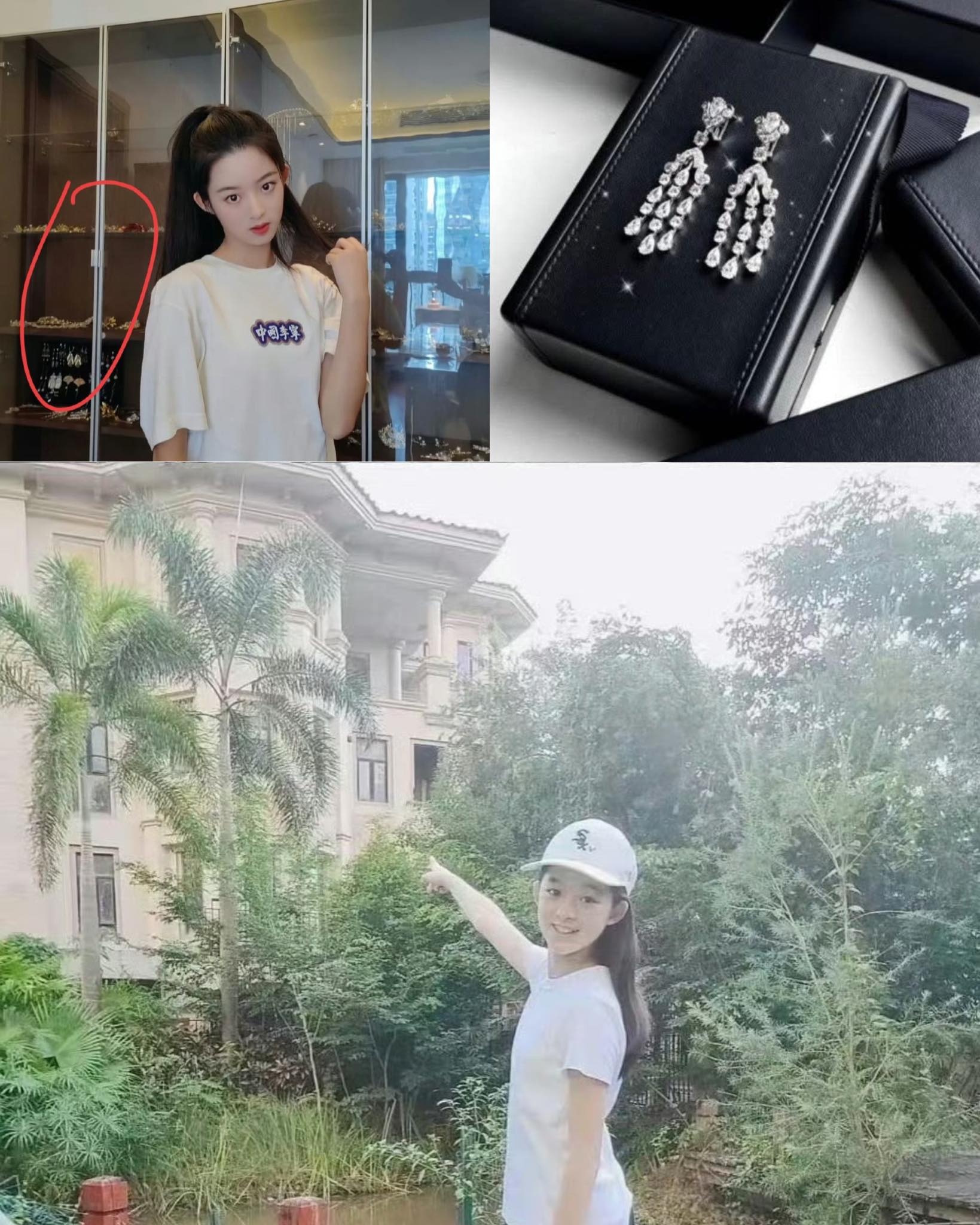 Hoang Duong Dien Diem,  so kieu truyen,  sao hoa ngu anh 3