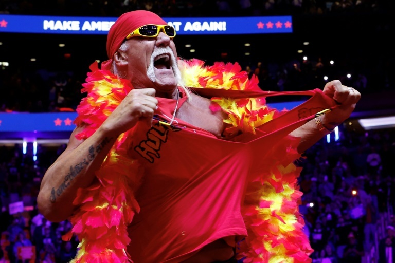 Hulk Hogan anh 1