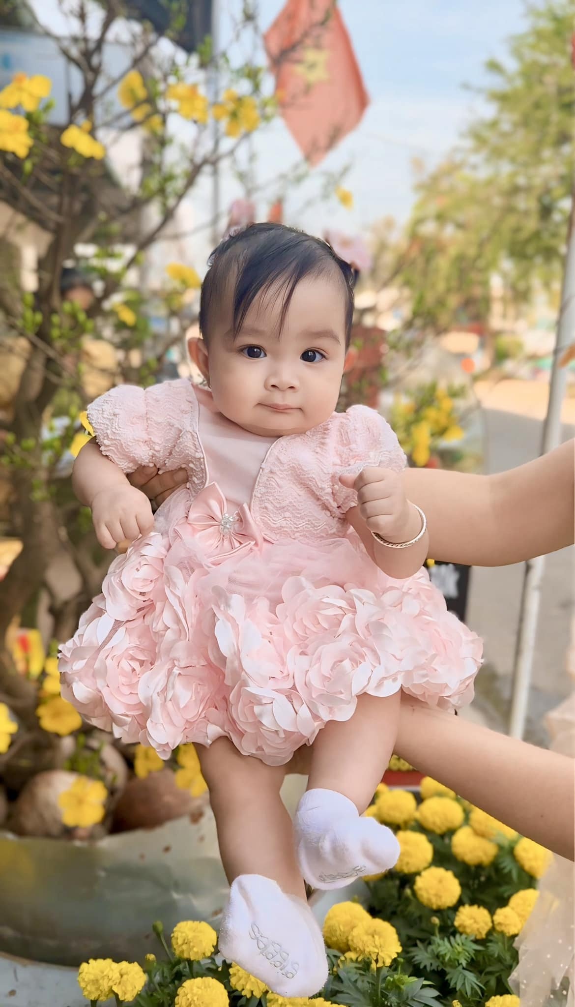 giải trí ảnh 7 giai tri anh 7