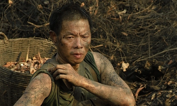 'Dia dao' co Thai Hoa thu hon 20 ty dong hinh anh