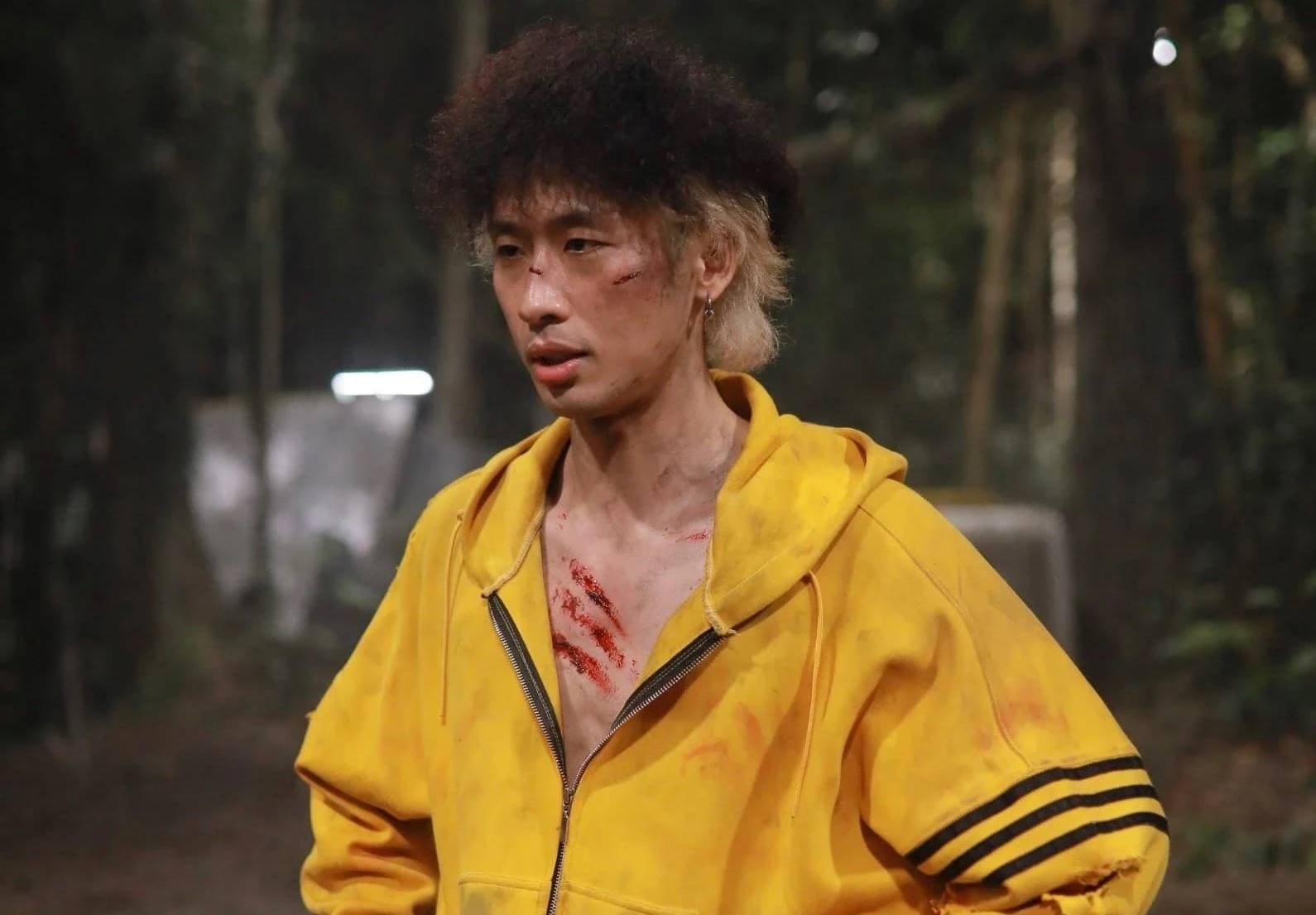 Thái Hòa ảnh 6 Thai Hoa anh 6