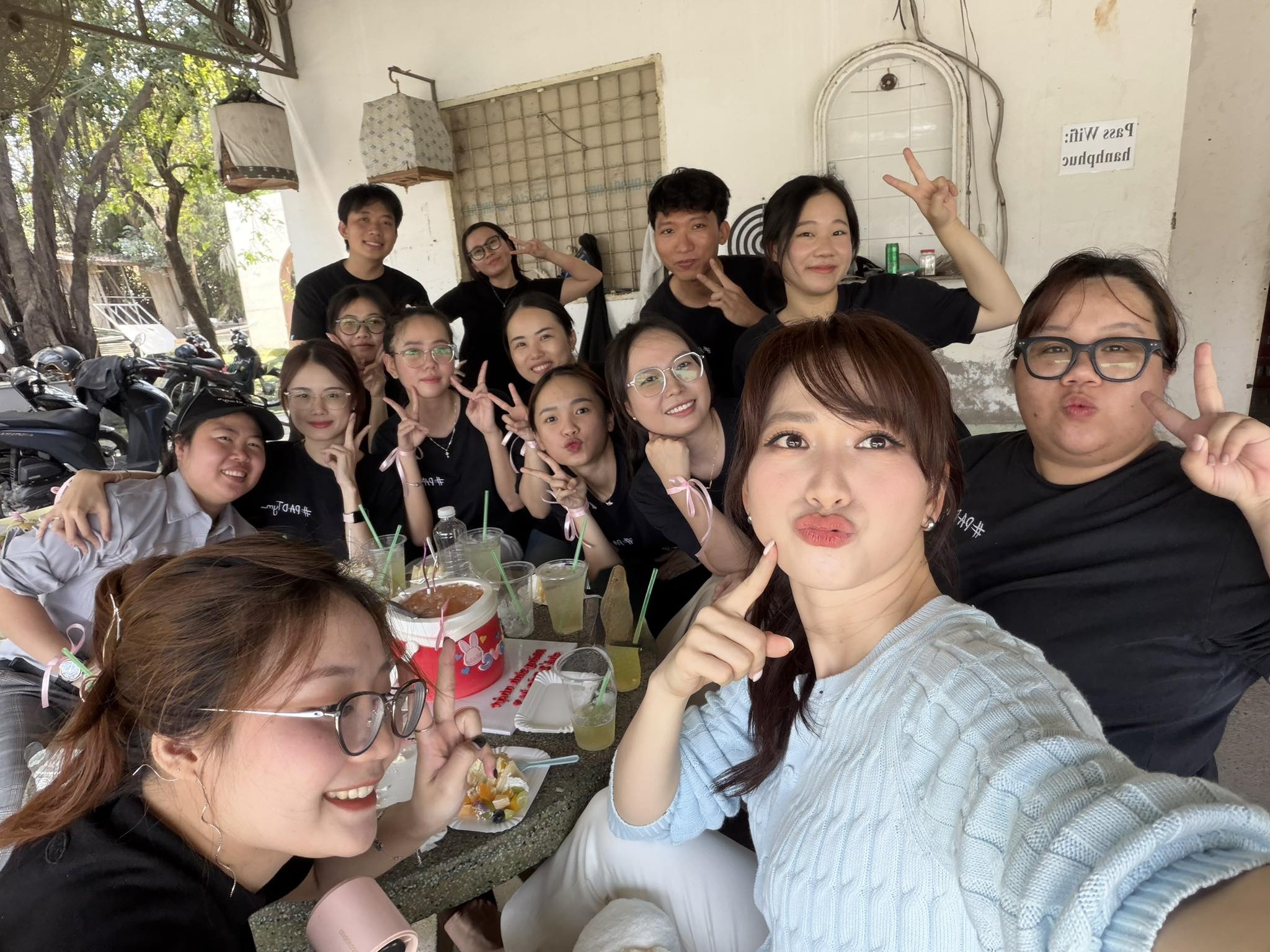 Phuong Anh Dao anh 5