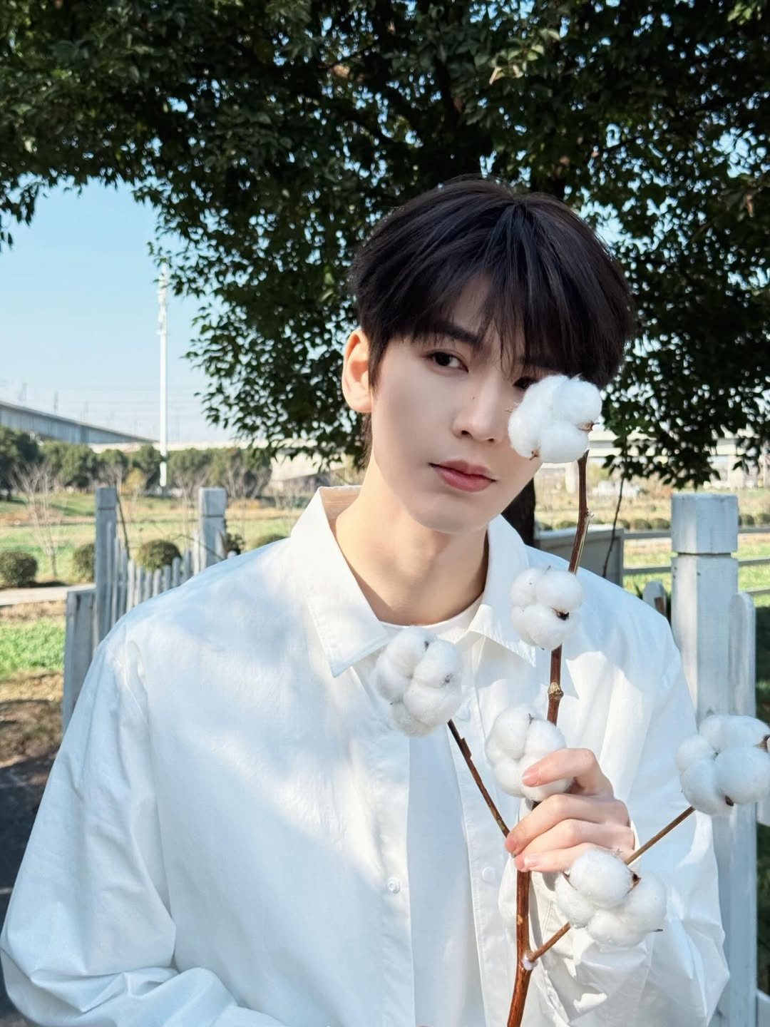 Truong Lang Hach anh 4