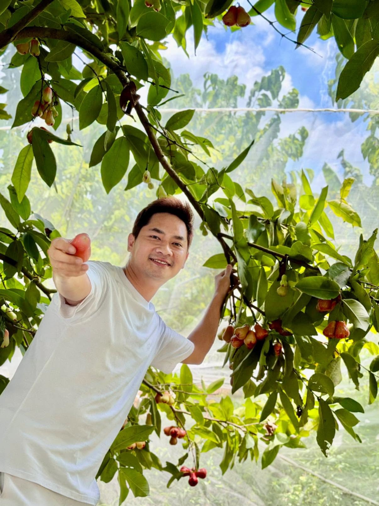 Minh Luân ảnh 8 Minh Luan anh 8