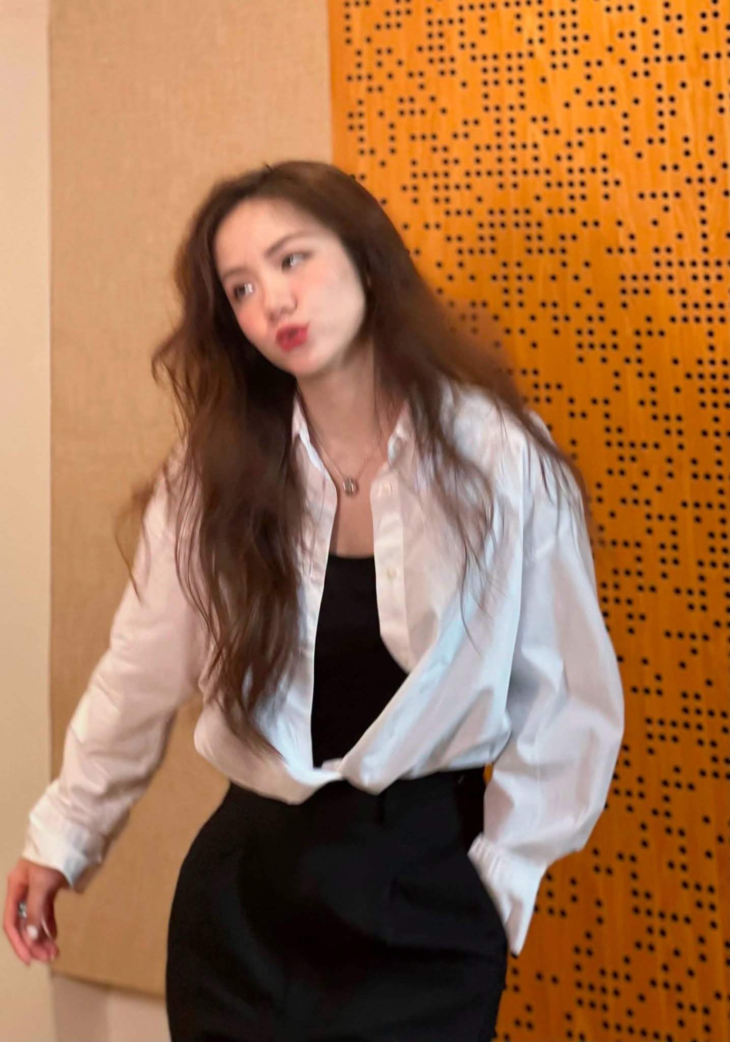 Phương Ly ảnh 3 Phương Ly ảnh 3