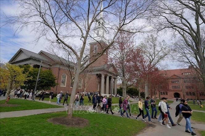 Sinh vien quoc te giam, cac DH My phai 'that lung buoc bung' hinh anh