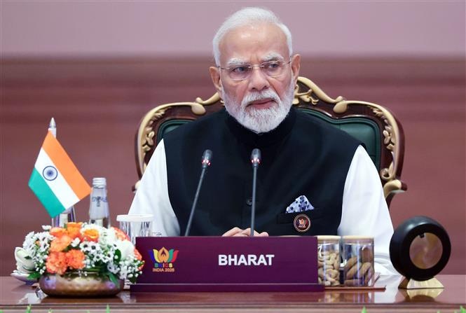 BRICS ảnh 2