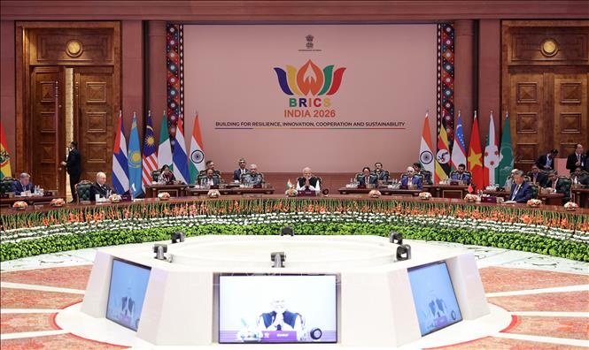 BRICS ảnh 1