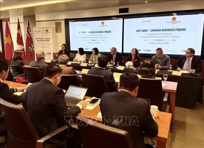 Thương mại Việt Nam - Canada hướng tới liên kết chuỗi giá trị