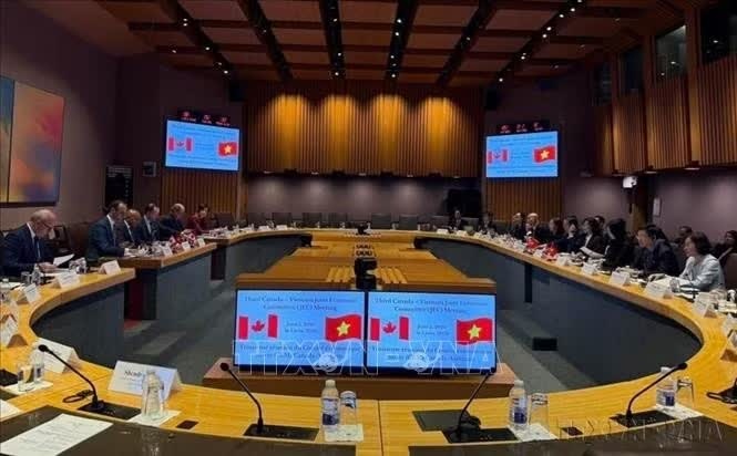 Việt Nam - Canada ảnh 1