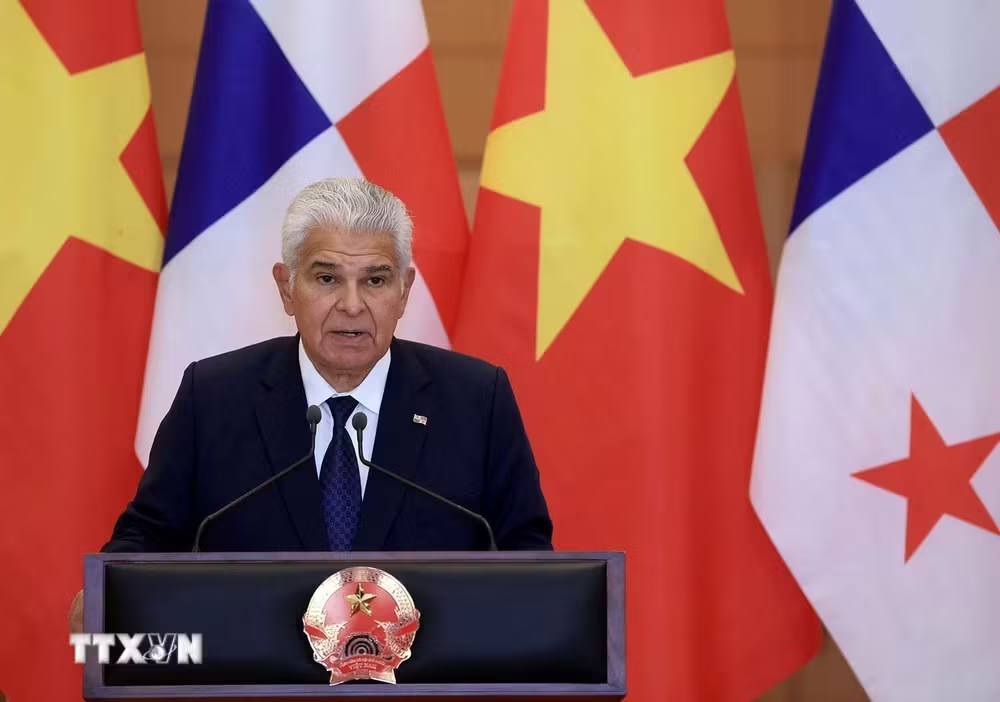 Việt Nam -  Panama ảnh 2