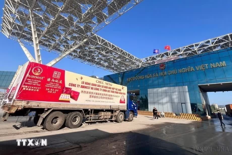 Trần Thanh Mẫn ảnh 7 Trần Thanh Mẫn ảnh 7