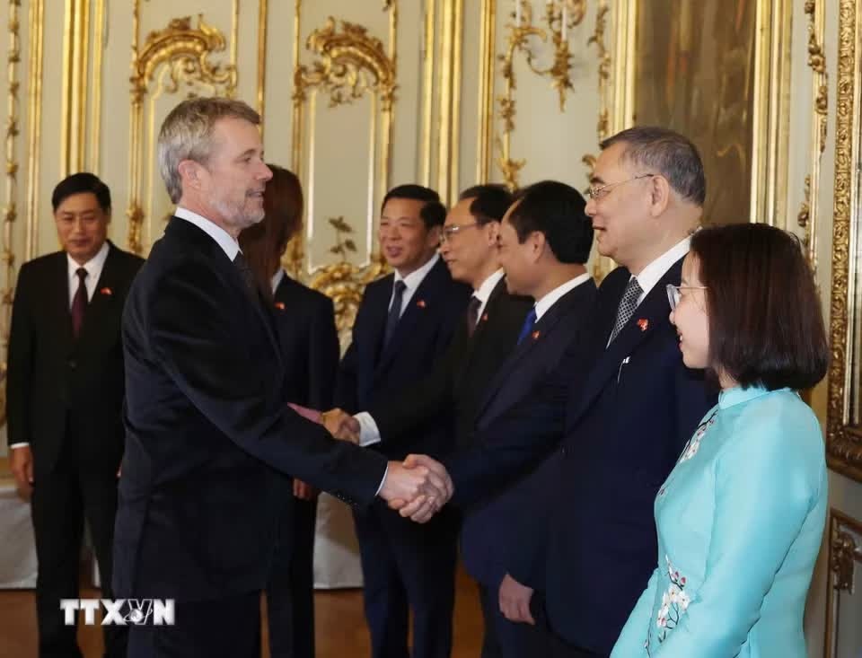 Việt Nam-Đan Mạch ảnh 4