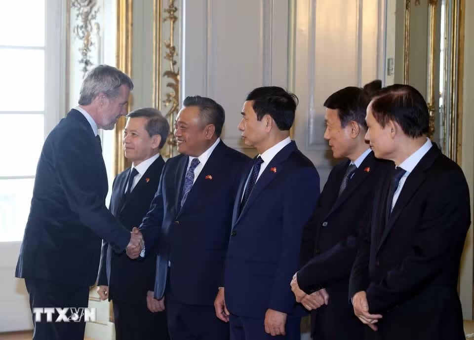 Việt Nam-Đan Mạch ảnh 6