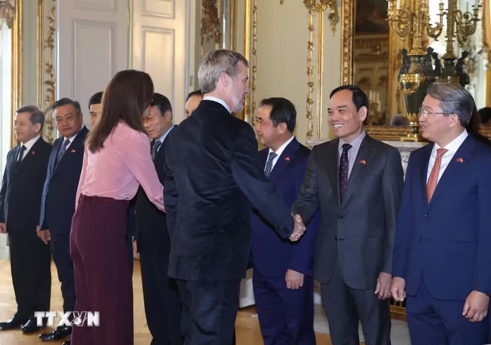 Việt Nam-Đan Mạch ảnh 5