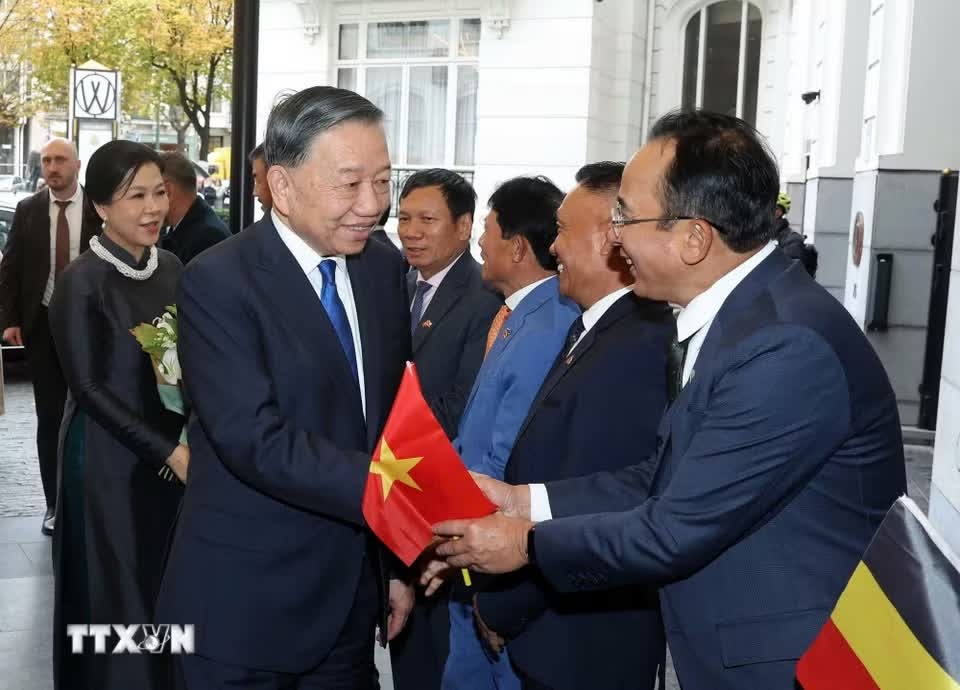 Việt Nam-Bỉ ảnh 8