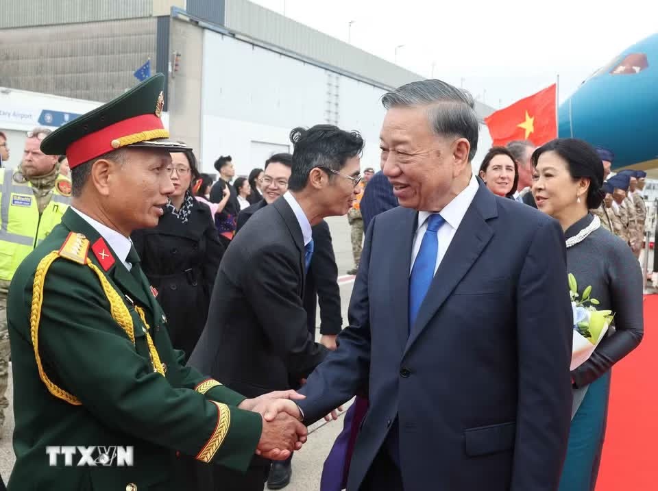 Việt Nam-Bỉ ảnh 4