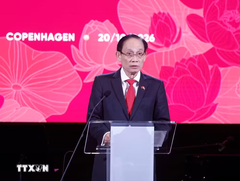 Việt Nam-Đan Mạch ảnh 3