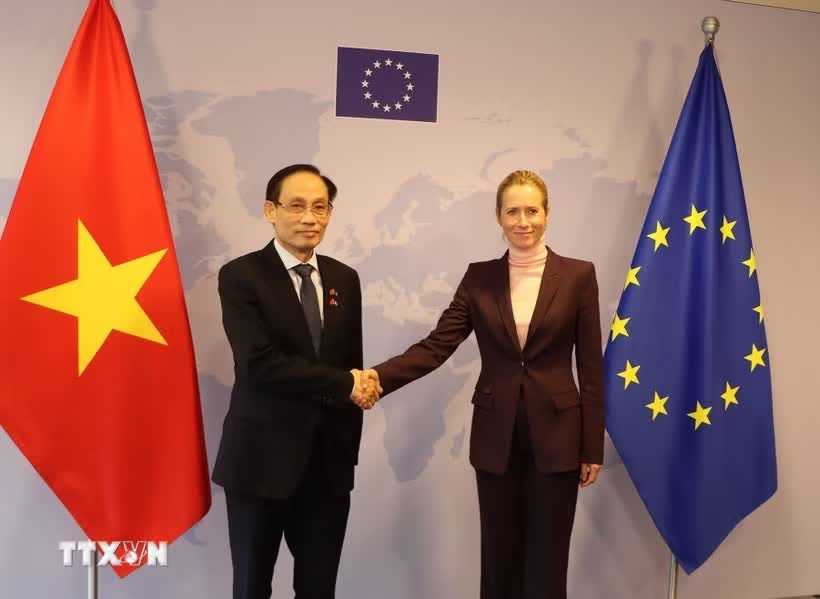 Việt Nam-EU ảnh 4