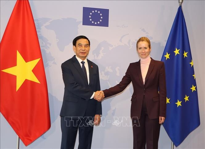 Phó Thủ tướng, Bộ trưởng Quốc phòng Phan Văn Giang gặp Đại diện cấp cao EU