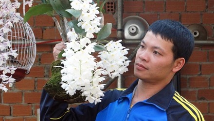 Nghe tay trai cho thu nhap cao hinh anh