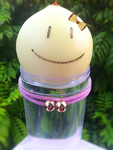 Hành tây hạnh phúc của Facebooker Mea. Ảnh: 