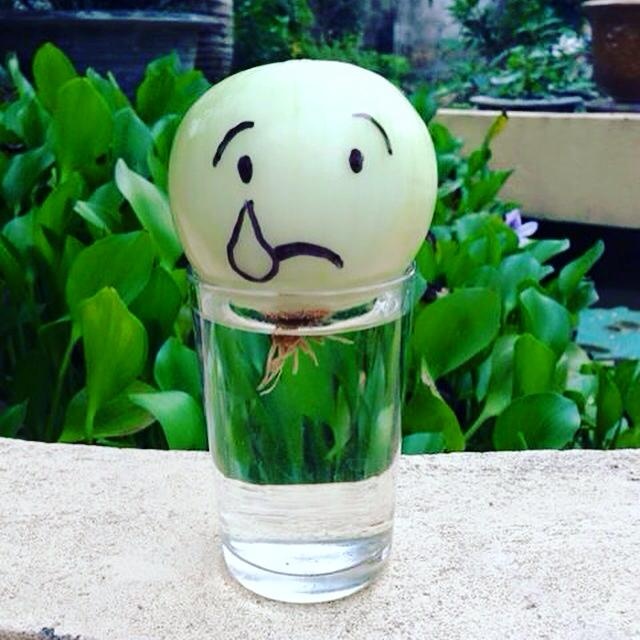 Hành tây mặt mếu của bạn Thùy Dung. 