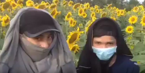 Dan Da Lat keu cuu khi vuon hoa huong duong bi giam nat hinh anh