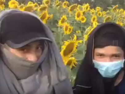 Hai thanh nien pha hoai canh dong hoa huong duong hinh anh