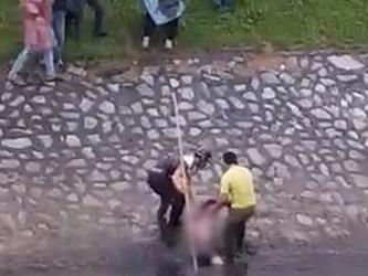 Co gai nhay song To Lich giua troi gia ret hinh anh