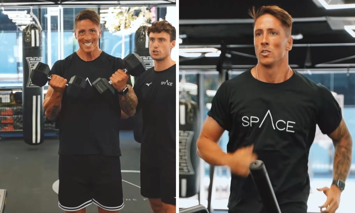 Fernando Torres anh 2