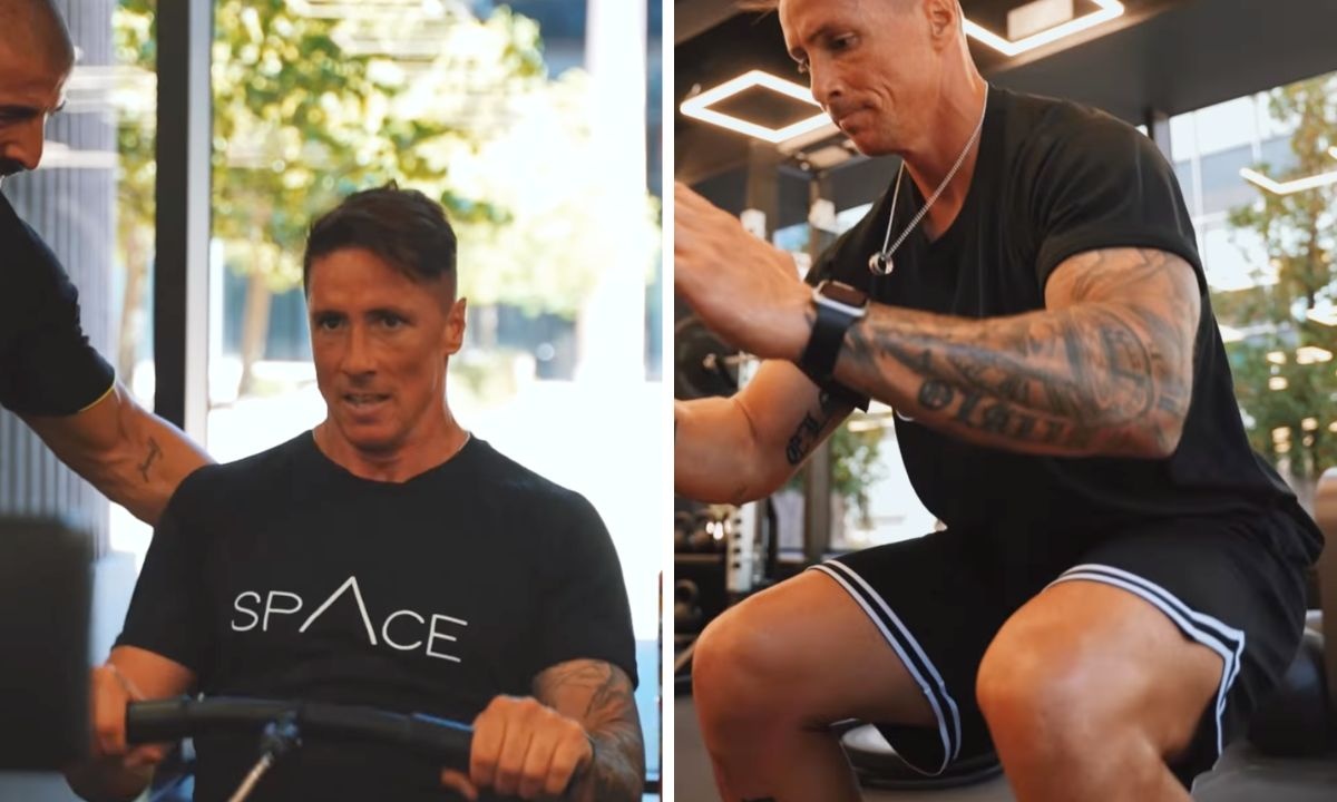 Fernando Torres anh 3