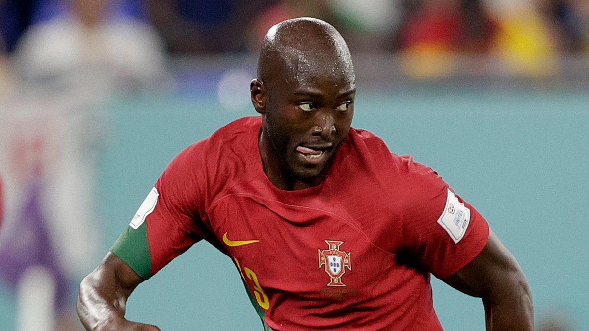 Tuyen thu Bo Dao Nha gay 3 xuong suon tren san tap hinh anh