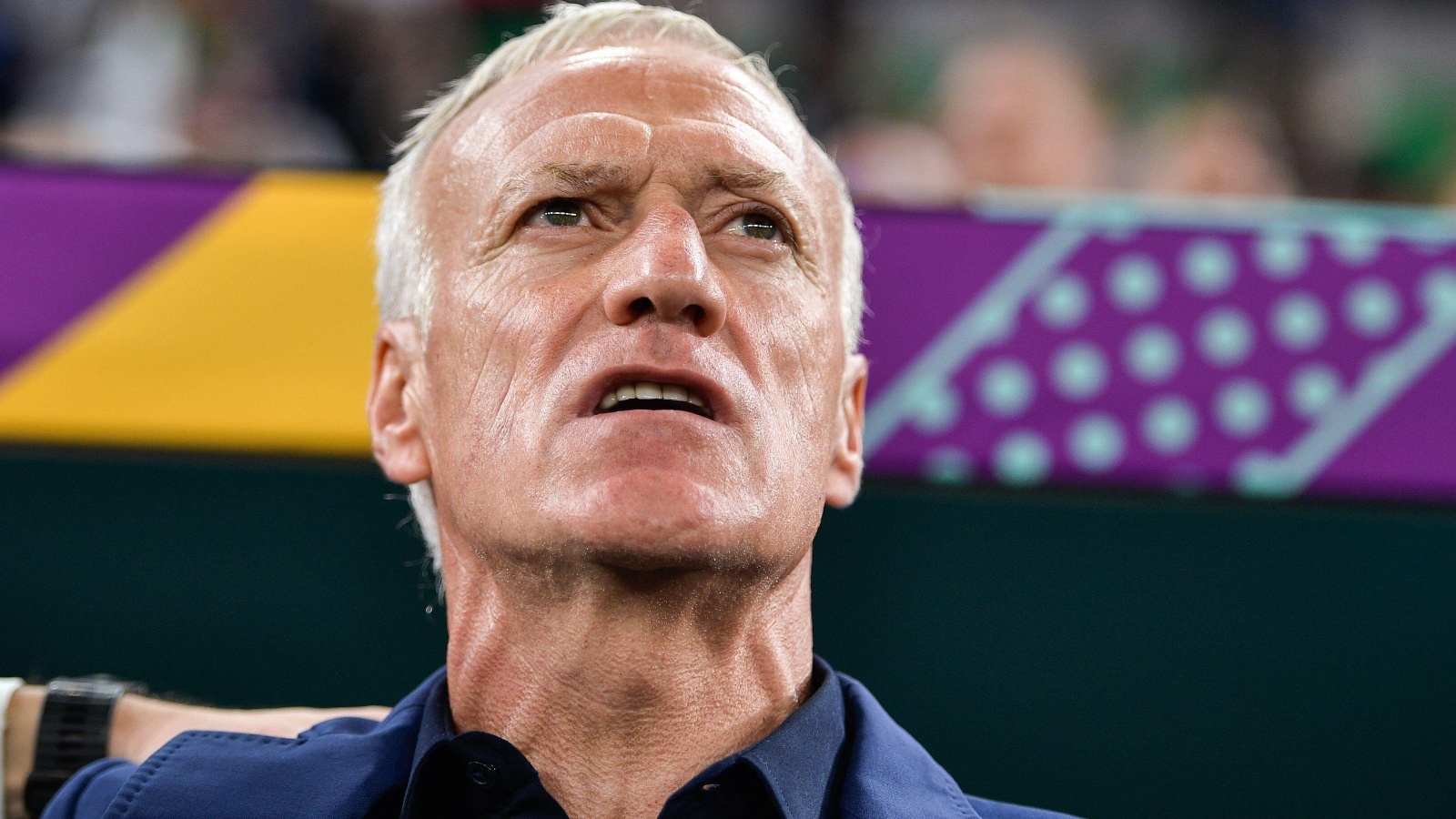 Phan ung cua HLV Deschamps khi Phap thua Tunisia hinh anh