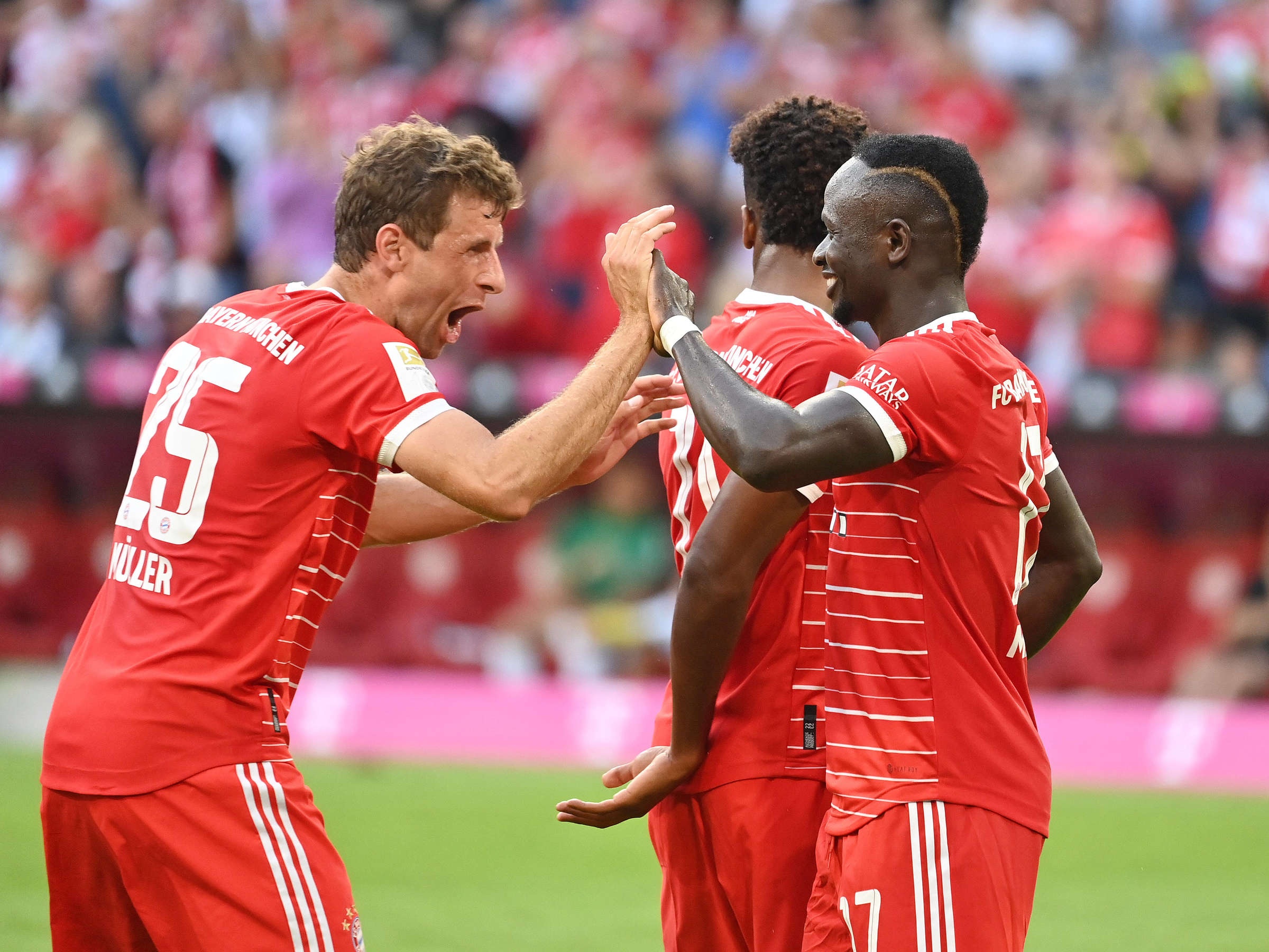 Premier League anh 5