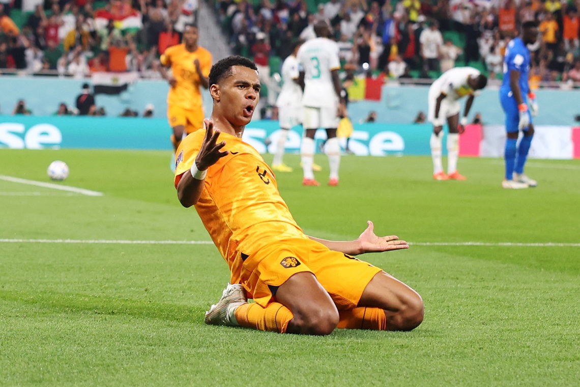 World Cup 2022 anh 7