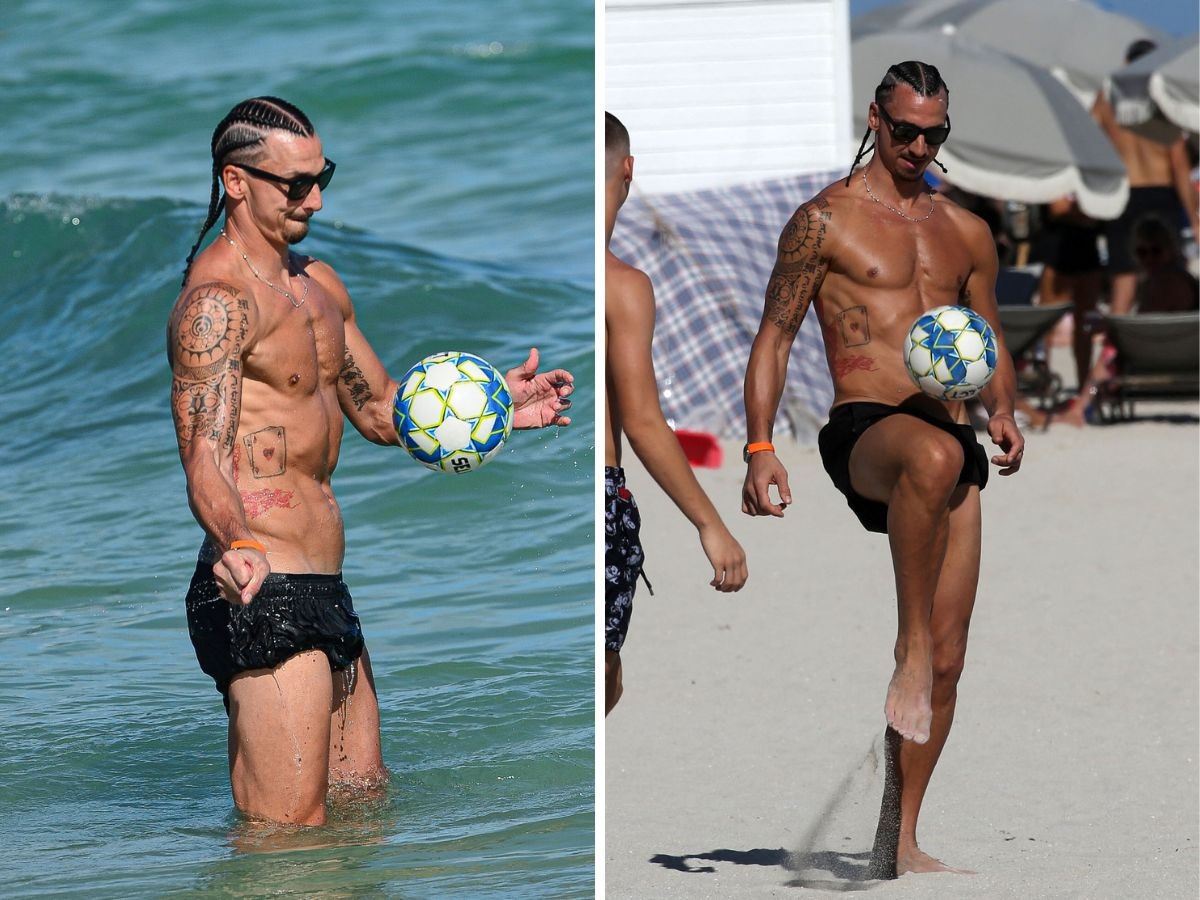 Ibrahimovic anh 2