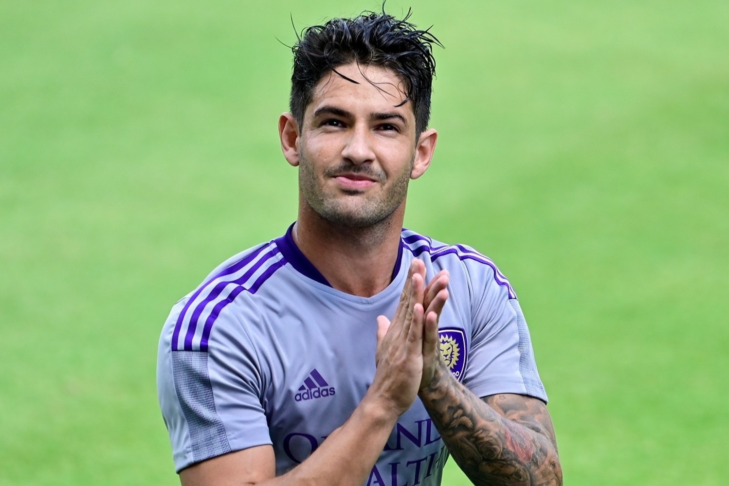 Pato va dan cau thu noi tieng dang that nghiep hinh anh