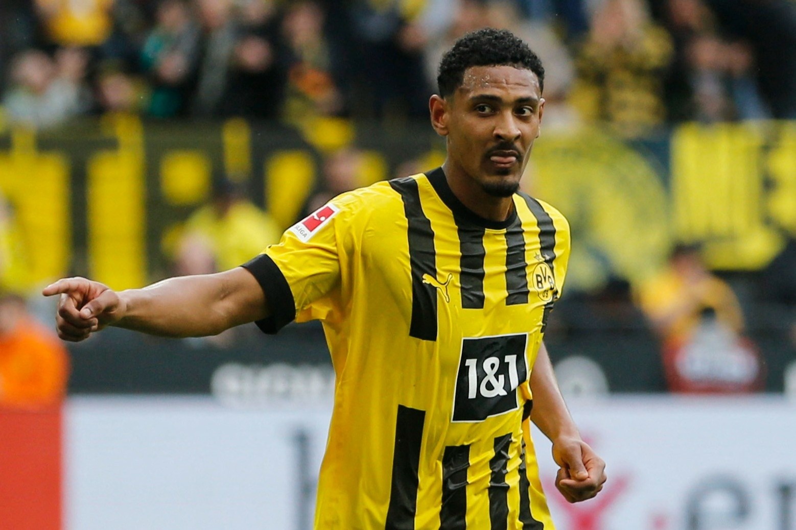 Haller tro lai ngoan muc sau khi bi ung thu hinh anh