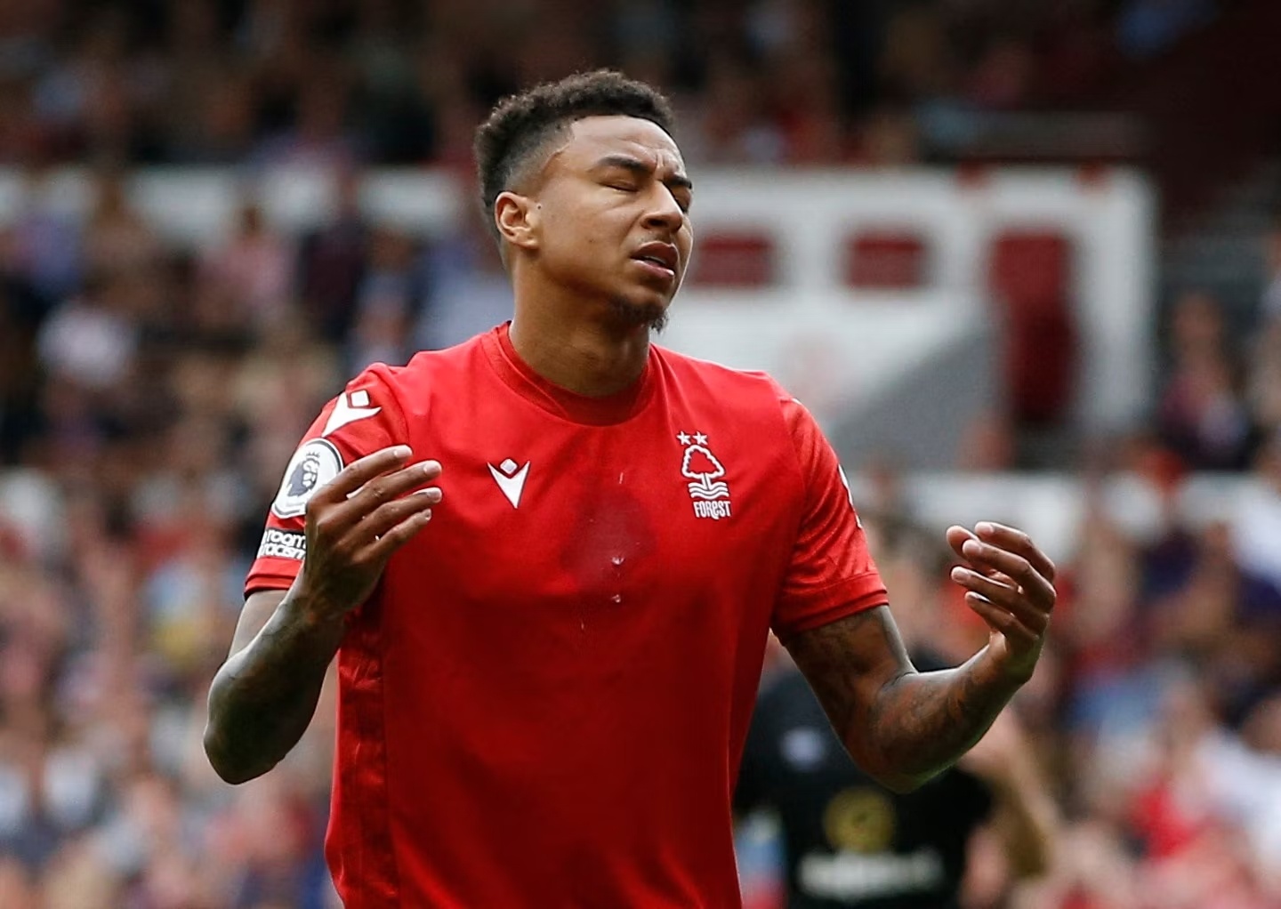 Nuoc di te nhat su nghiep cua Jesse Lingard hinh anh