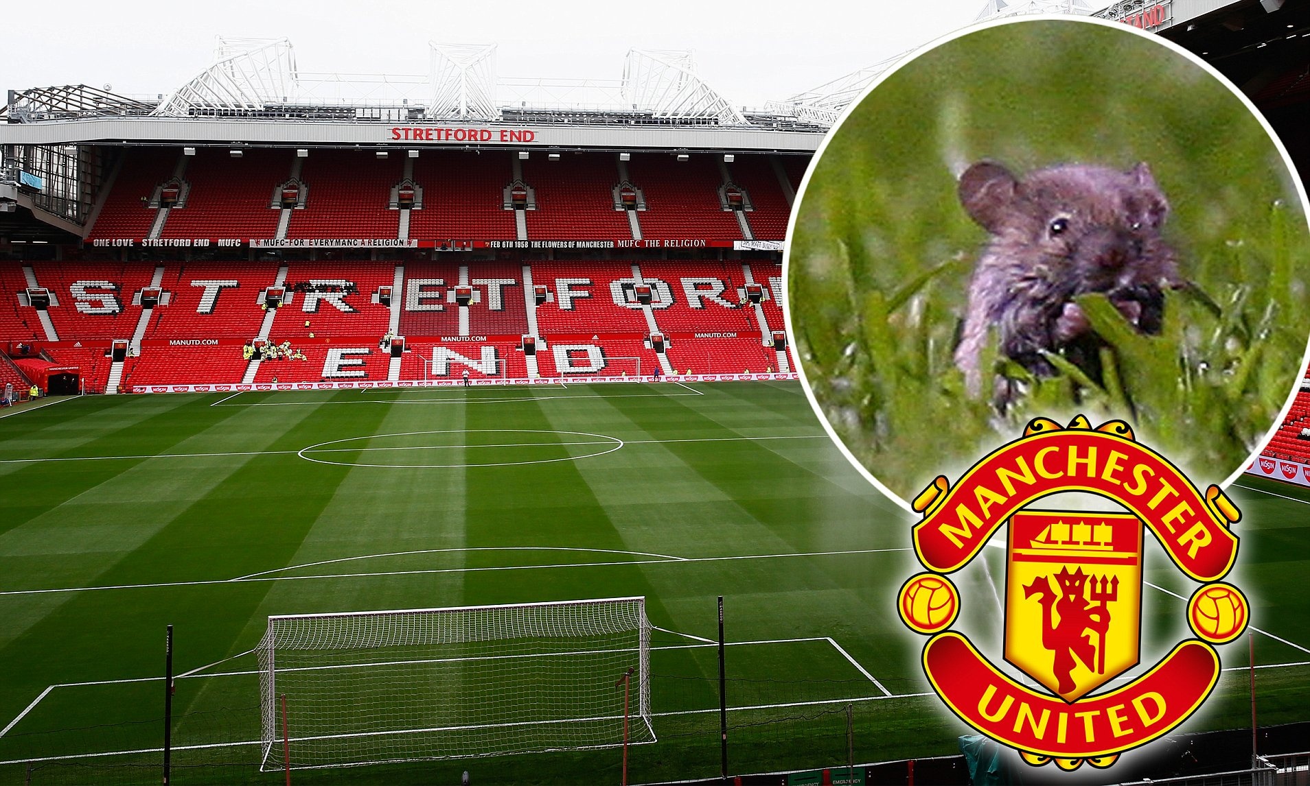 Hinh anh kho tin o san Old Trafford hinh anh