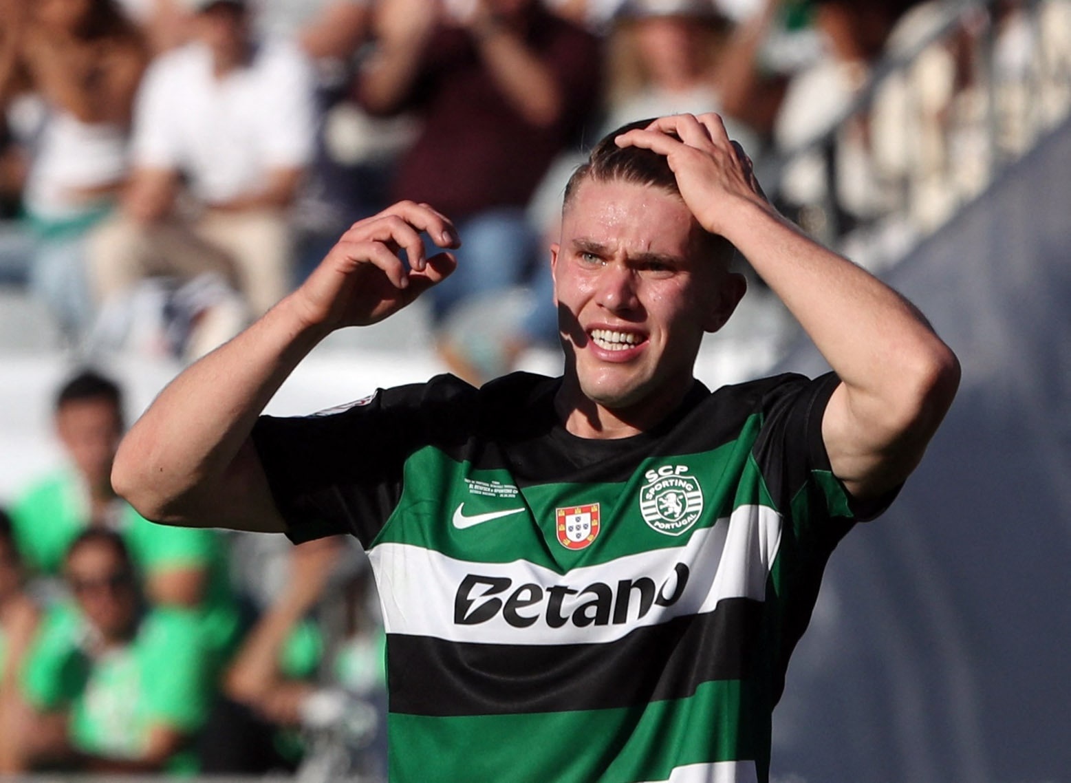 Gyokeres choc gian CDV Sporting hinh anh