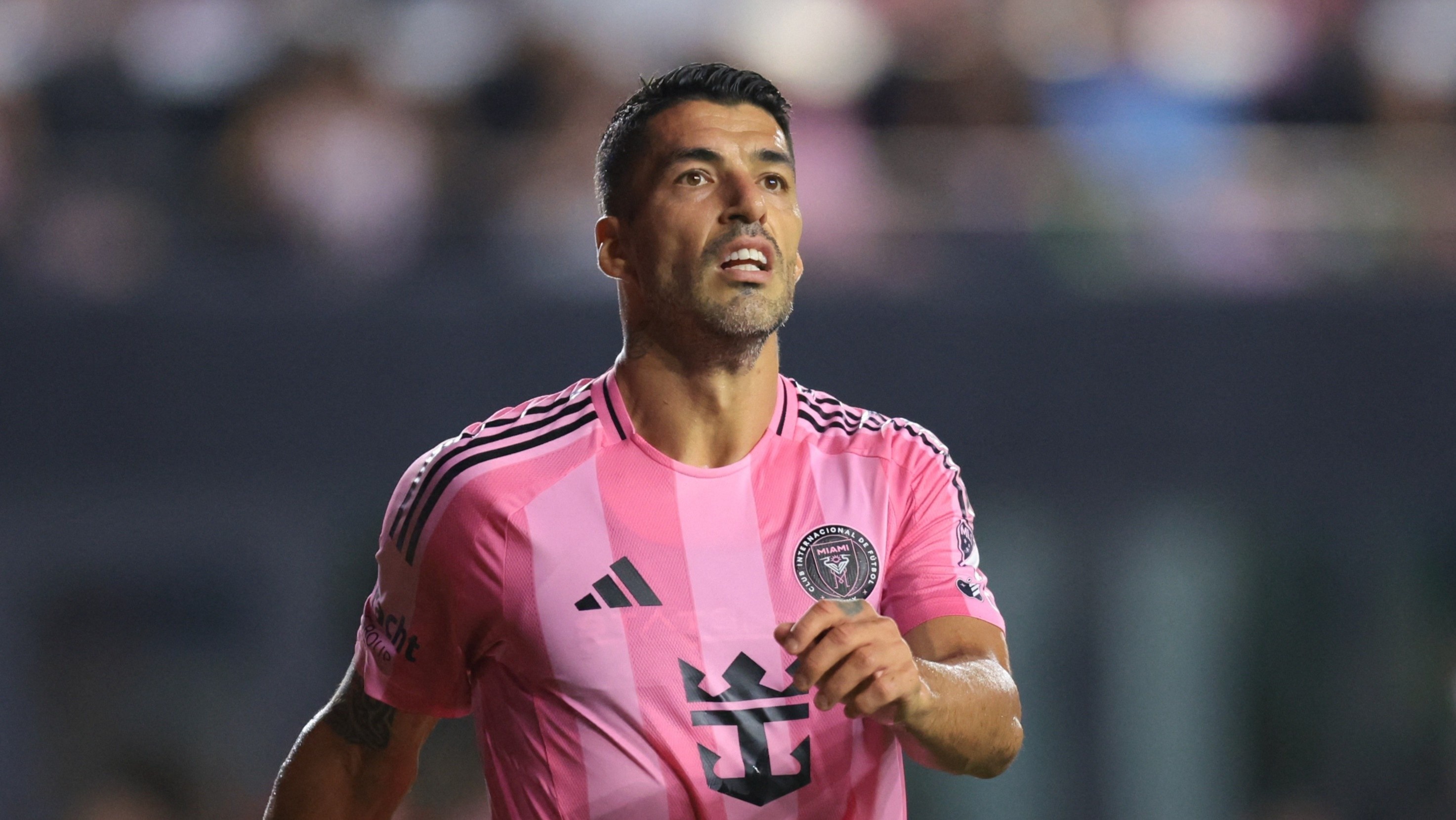 Khoanh khac Suarez 'bo bong da nguoi' hinh anh