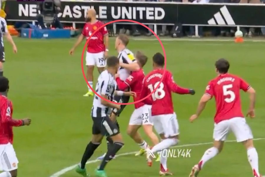 Trung ve Newcastle gay phan no hinh anh