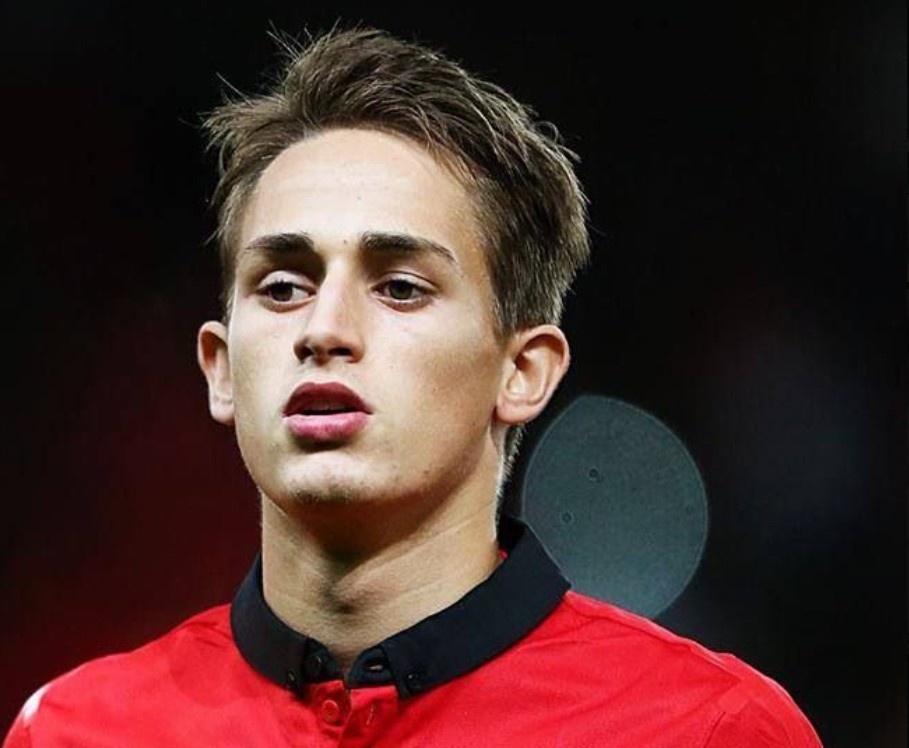 januzaj anh 1