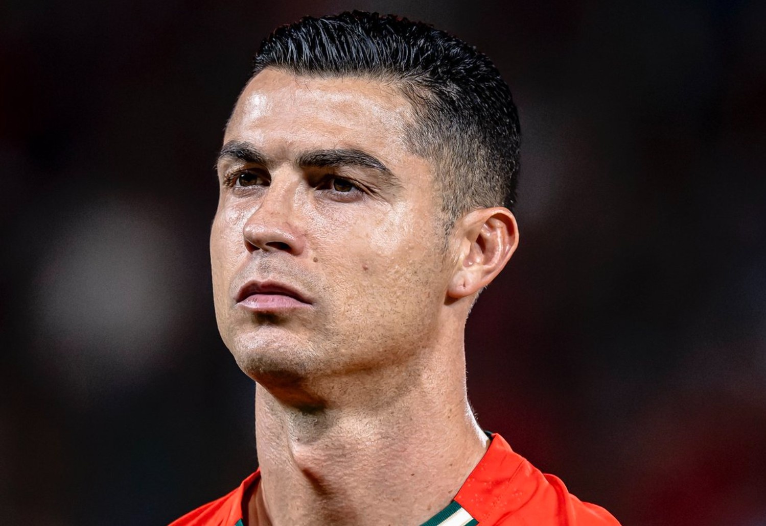 Vi sao Ronaldo vang mat o tuyen Bo Dao Nha hinh anh