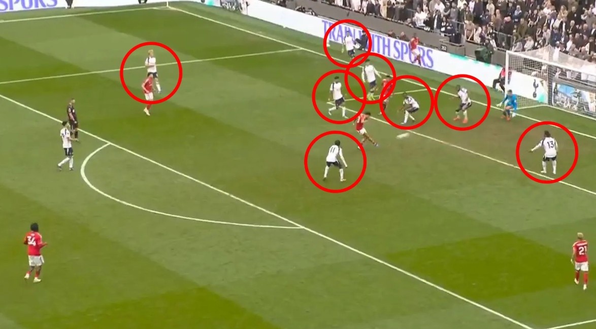 Khoanh khac phong ngu gay soc cua Tottenham hinh anh