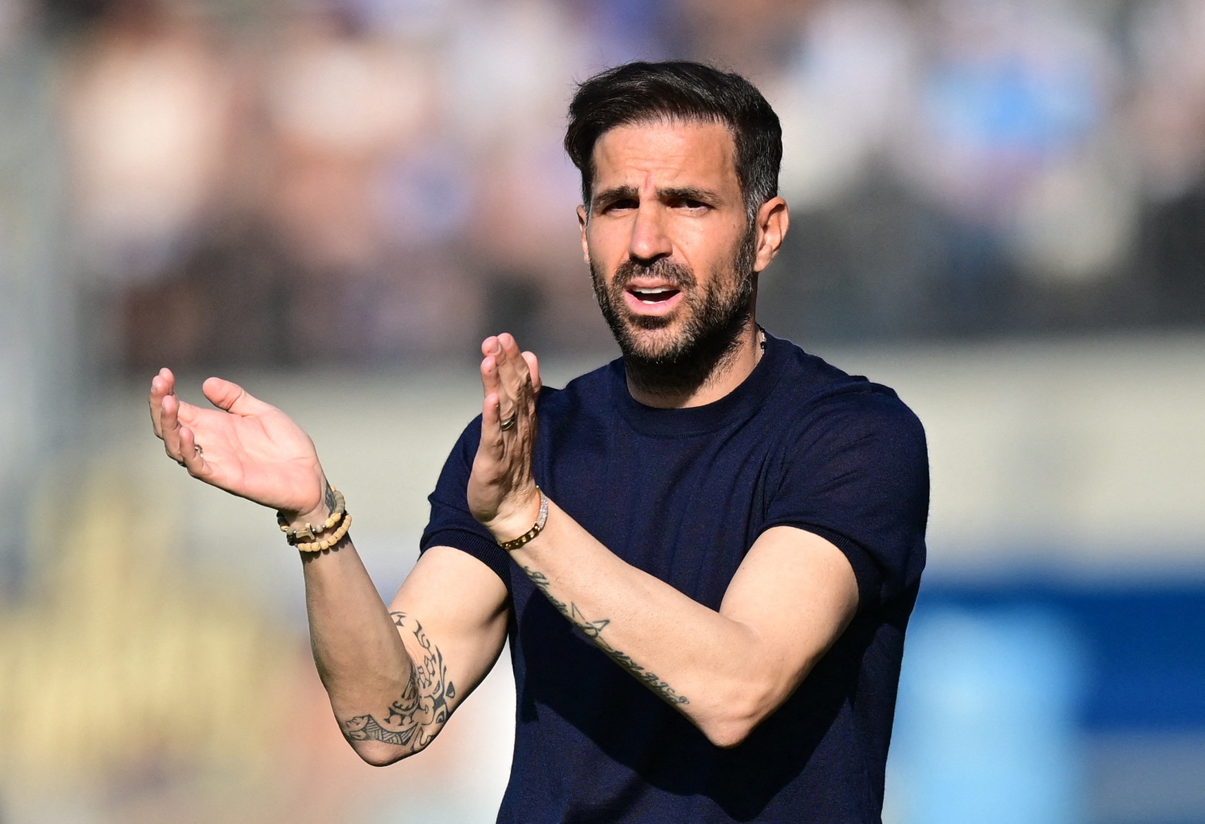 Fabregas anh 2
